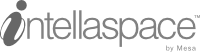 Intellaspace