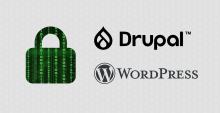 Drupal & Wordpress Security